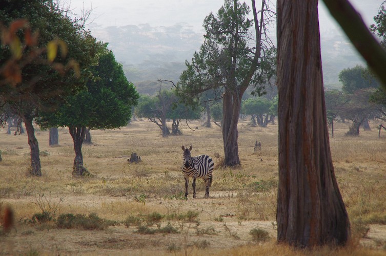 01_Rift_Valley-Lake_Baringo_Maralal_29