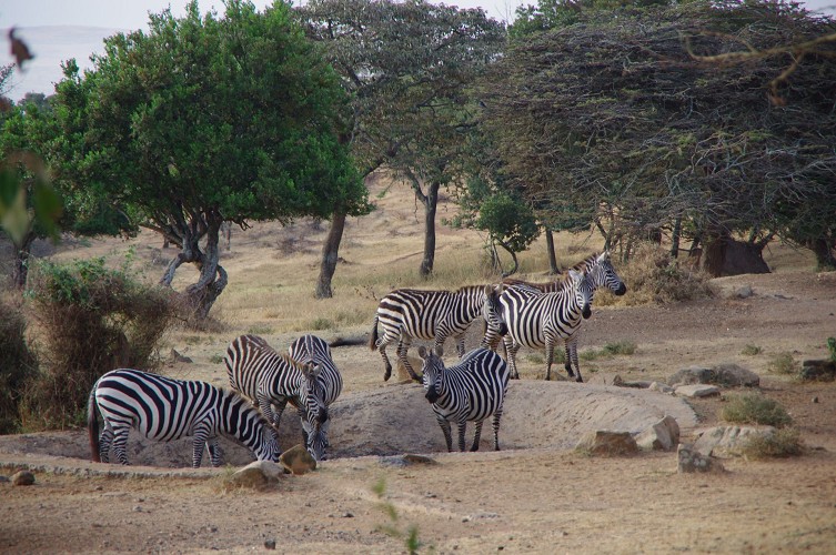 01_Rift_Valley-Lake_Baringo_Maralal_30