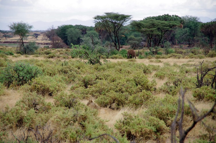 11_Kalacha-Marsabit_Samburu_Park-Nairobi_21