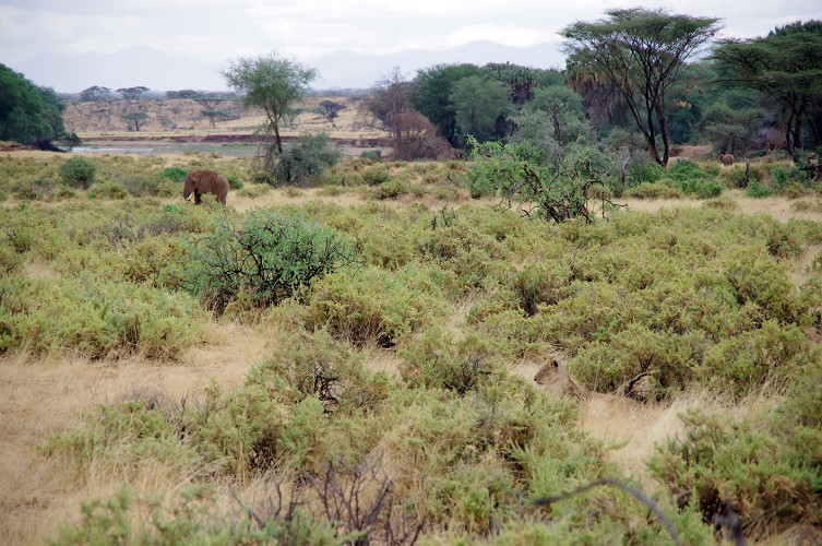 11_Kalacha-Marsabit_Samburu_Park-Nairobi_23