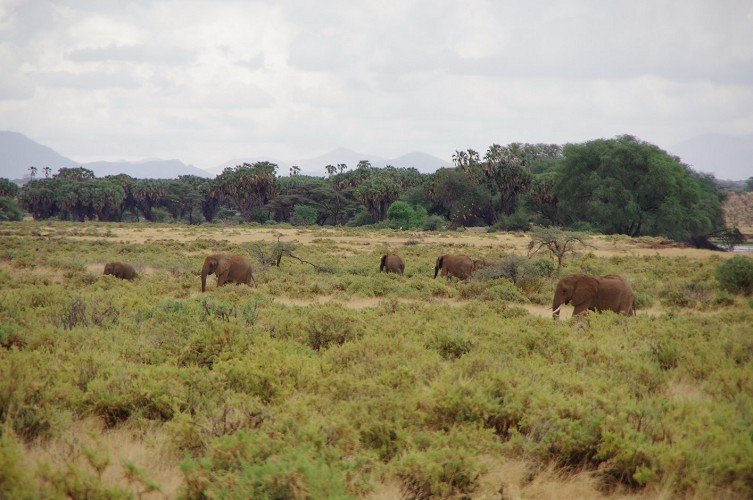 11_Kalacha-Marsabit_Samburu_Park-Nairobi_24