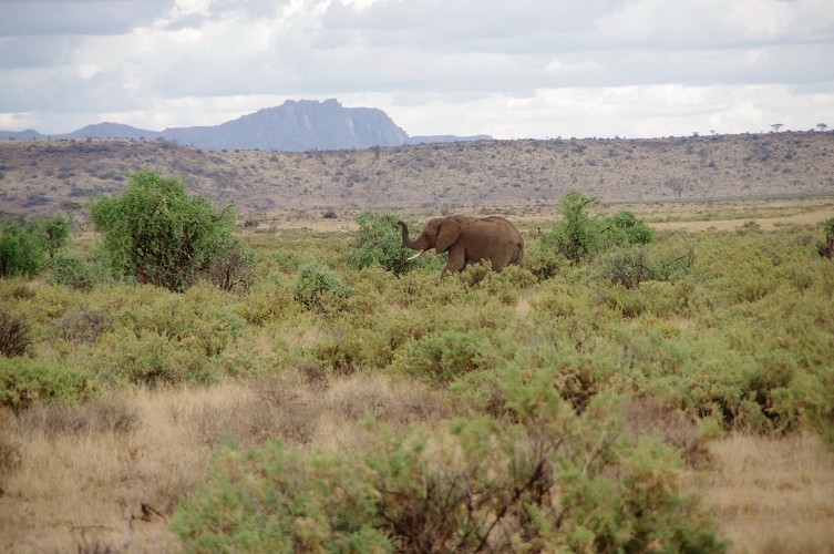 11_Kalacha-Marsabit_Samburu_Park-Nairobi_26