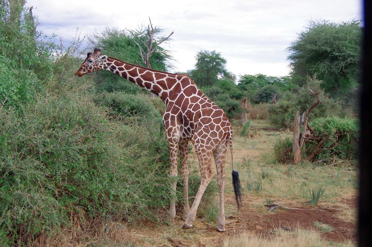 11_Kalacha-Marsabit_Samburu_Park-Nairobi_28