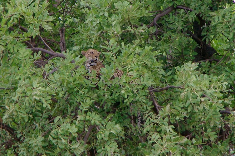 11_Kalacha-Marsabit_Samburu_Park-Nairobi_32