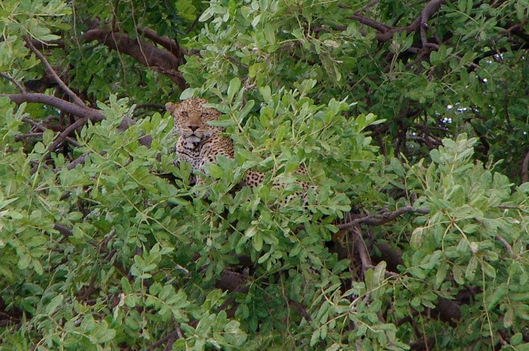 11_Kalacha-Marsabit_Samburu_Park-Nairobi_34