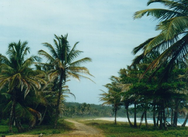 Images/nica_sel_065.jpg