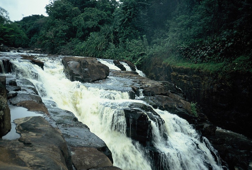 Bonn-Congo_037