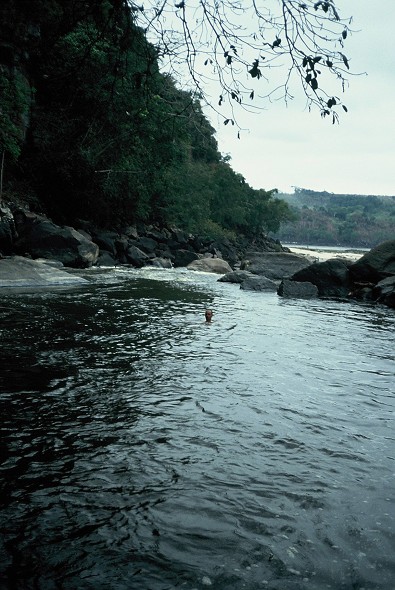 Bonn-Congo_039