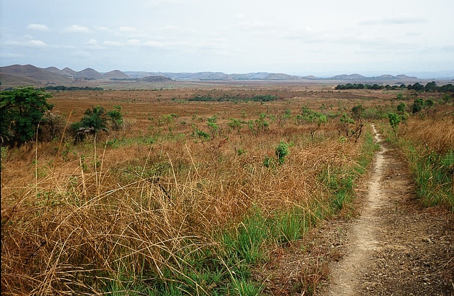 Bonn-Congo-Cabinda(Angola)_024