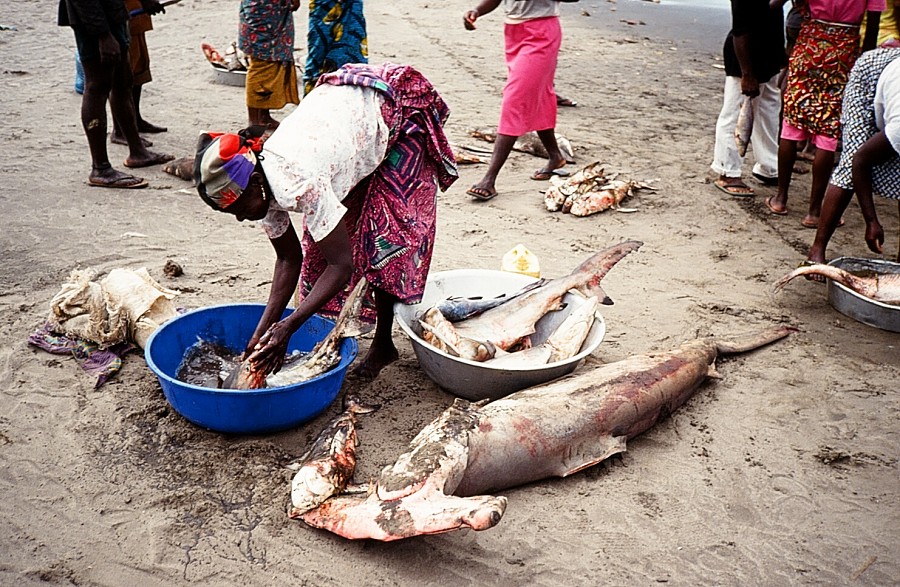 Bonn-Congo-Cabinda(Angola)_043