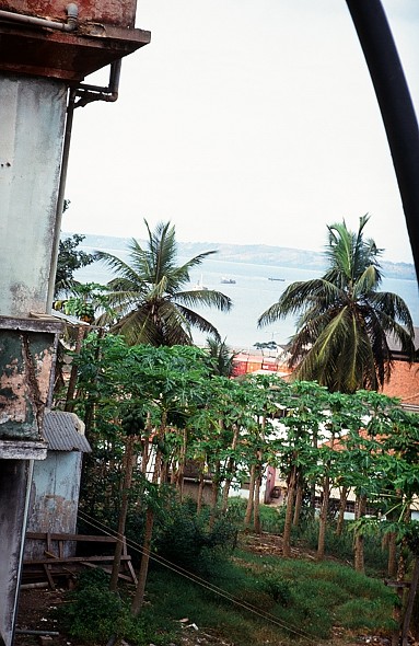 Bonn-Congo-Cabinda(Angola)_049