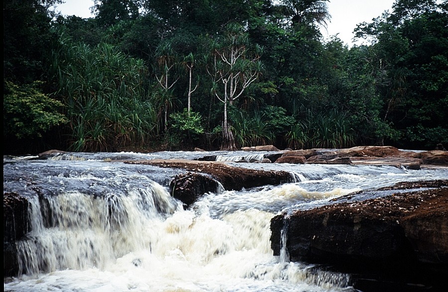 Bonn-Congo-Cabinda(Angola)_066