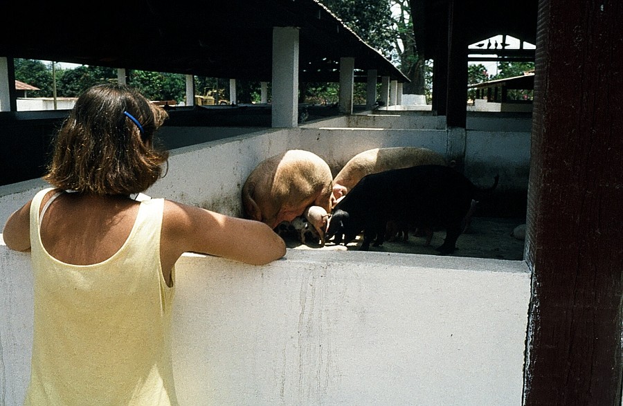 Bonn-Congo-Cabinda(Angola)_120