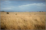 Cabinda(Angola)-Congo-Kenya_064