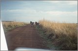 Cabinda(Angola)-Congo-Kenya_066