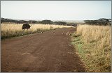 Cabinda(Angola)-Congo-Kenya_109