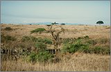 Cabinda(Angola)-Congo-Kenya_114