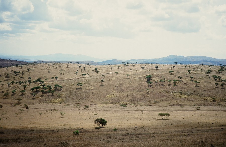 Cabinda(Angola)-Congo-Kenya_048