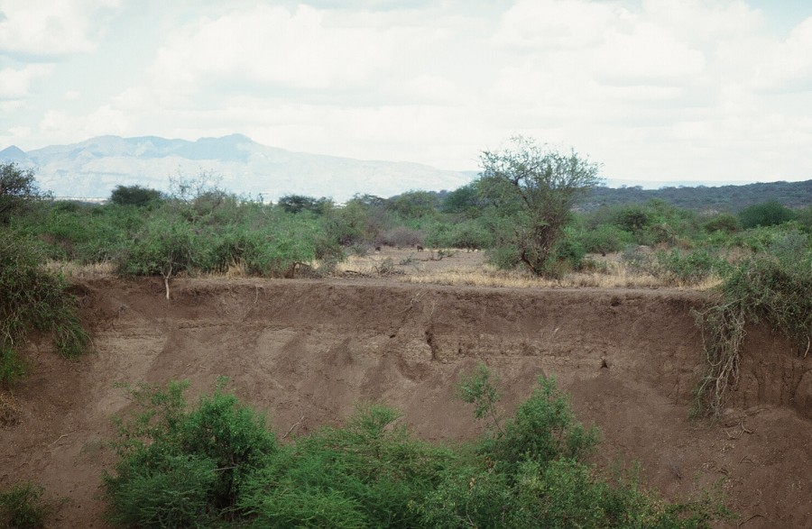 Cabinda(Angola)-Congo-Kenya_052