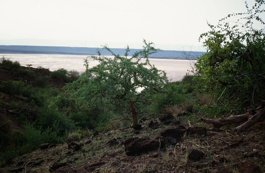 Cabinda(Angola)-Congo-Kenya_063