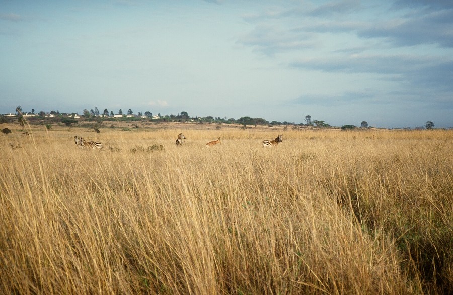 Cabinda(Angola)-Congo-Kenya_065