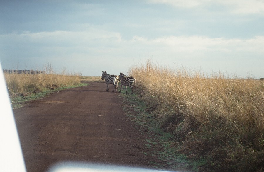 Cabinda(Angola)-Congo-Kenya_066