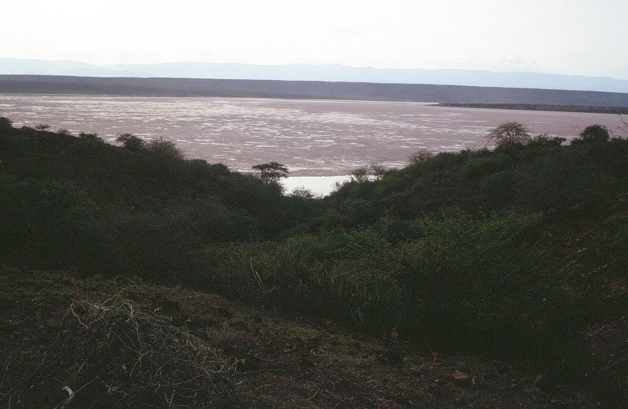 Cabinda(Angola)-Congo-Kenya_084