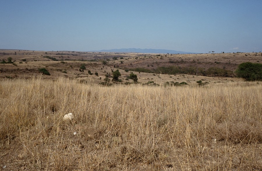 Cabinda(Angola)-Congo-Kenya_090