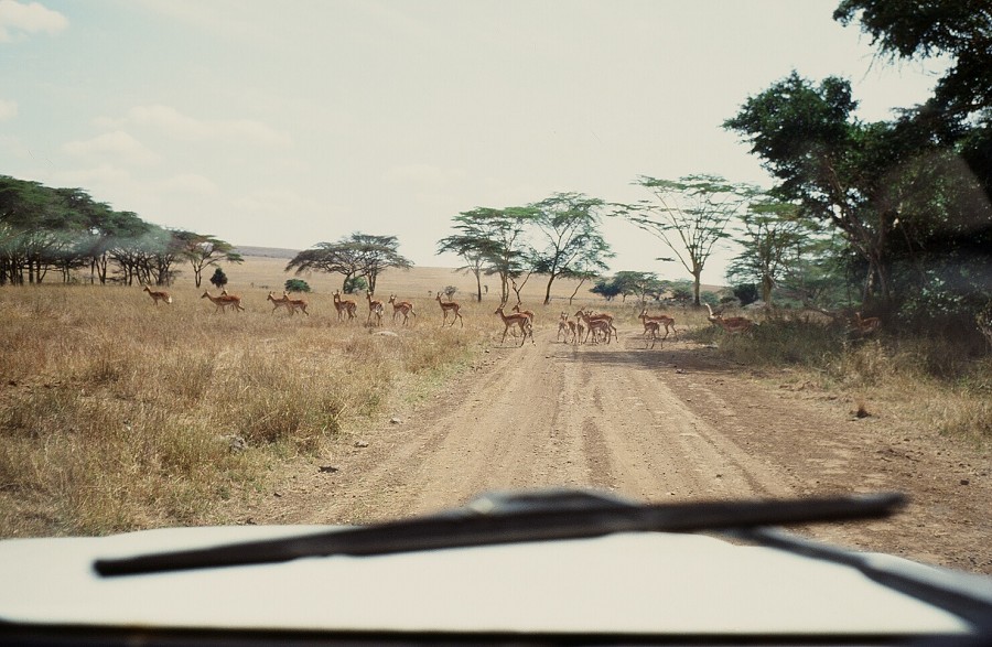 Cabinda(Angola)-Congo-Kenya_092