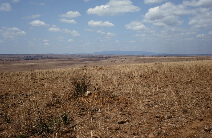 Cabinda(Angola)-Congo-Kenya_097