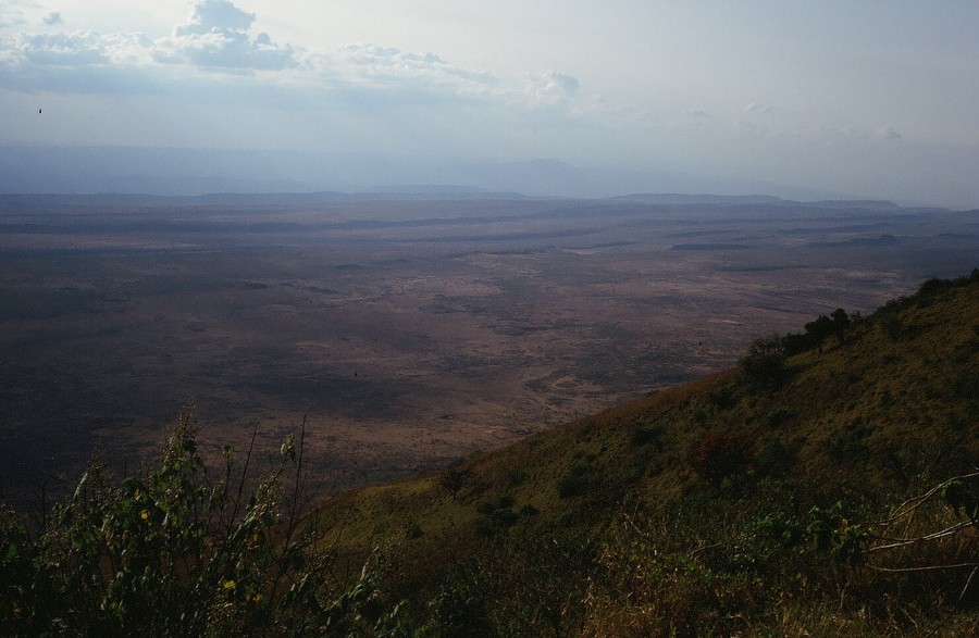 Cabinda(Angola)-Congo-Kenya_100