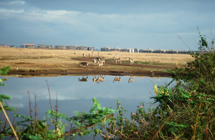 Cabinda(Angola)-Congo-Kenya_105