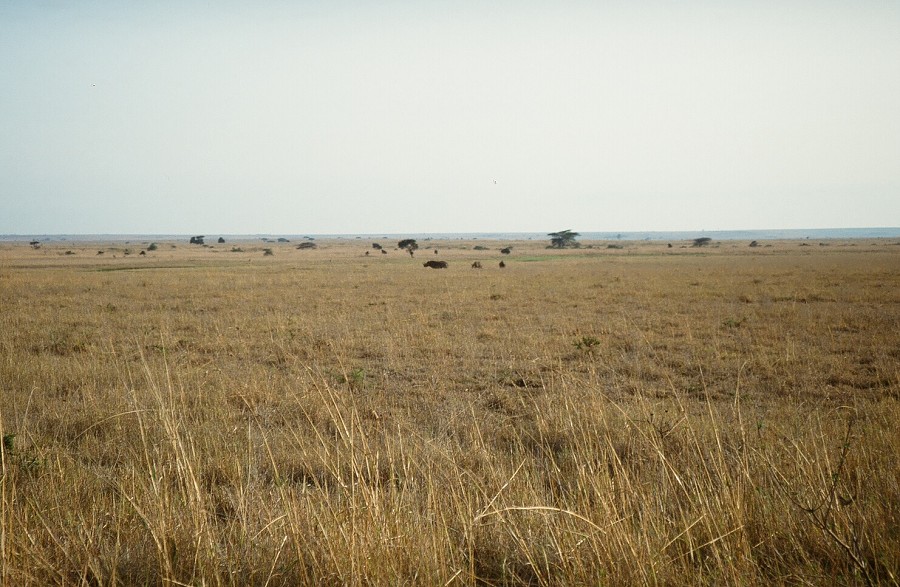 Cabinda(Angola)-Congo-Kenya_107