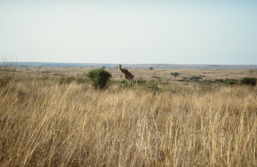 Cabinda(Angola)-Congo-Kenya_112