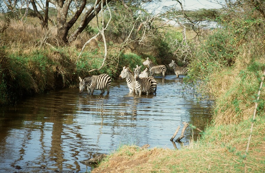 Cabinda(Angola)-Congo-Kenya_115