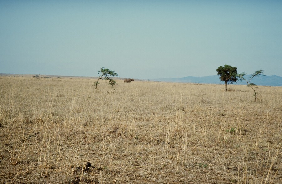 Cabinda(Angola)-Congo-Kenya_118