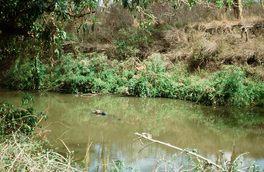 Cabinda(Angola)-Congo-Kenya_125