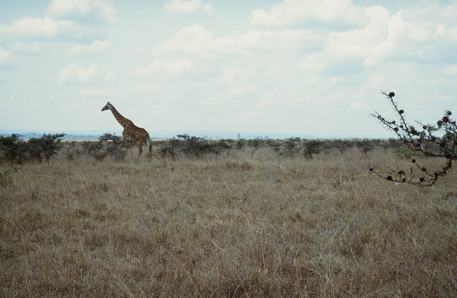 Cabinda(Angola)-Congo-Kenya_129