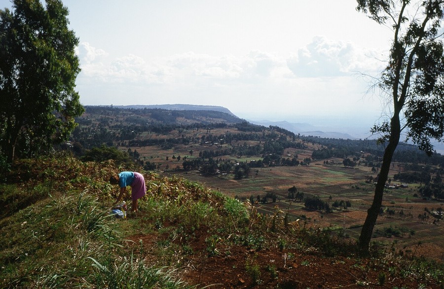 Cabinda(Angola)-Congo-Kenya_146