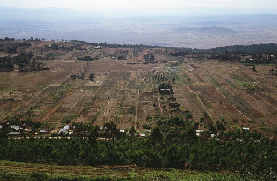 Cabinda(Angola)-Congo-Kenya_147