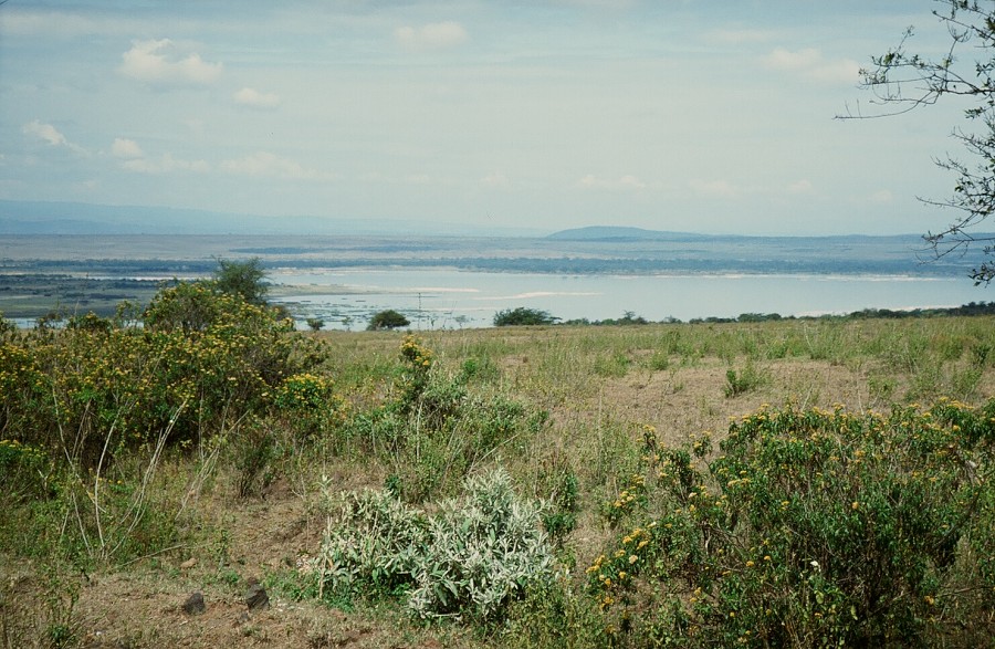 Cabinda(Angola)-Congo-Kenya_151