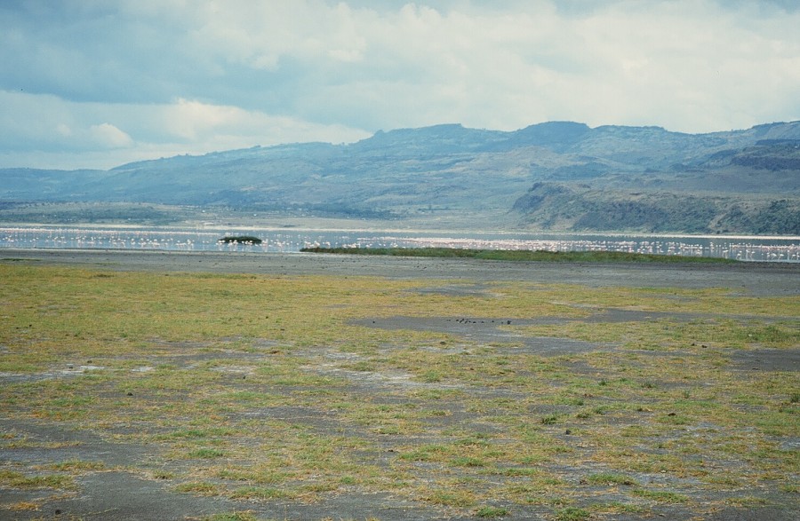 Cabinda(Angola)-Congo-Kenya_155