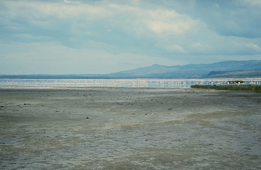 Cabinda(Angola)-Congo-Kenya_156