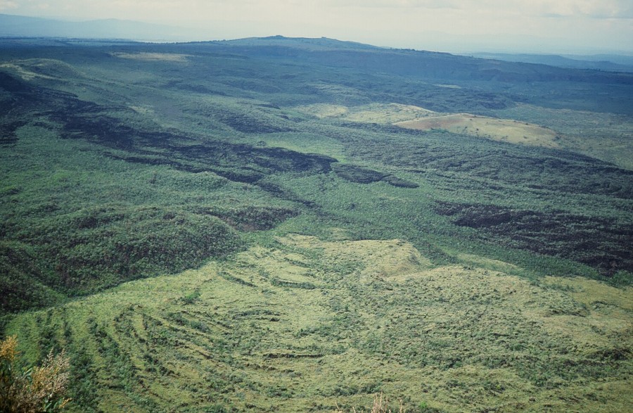 Cabinda(Angola)-Congo-Kenya_161