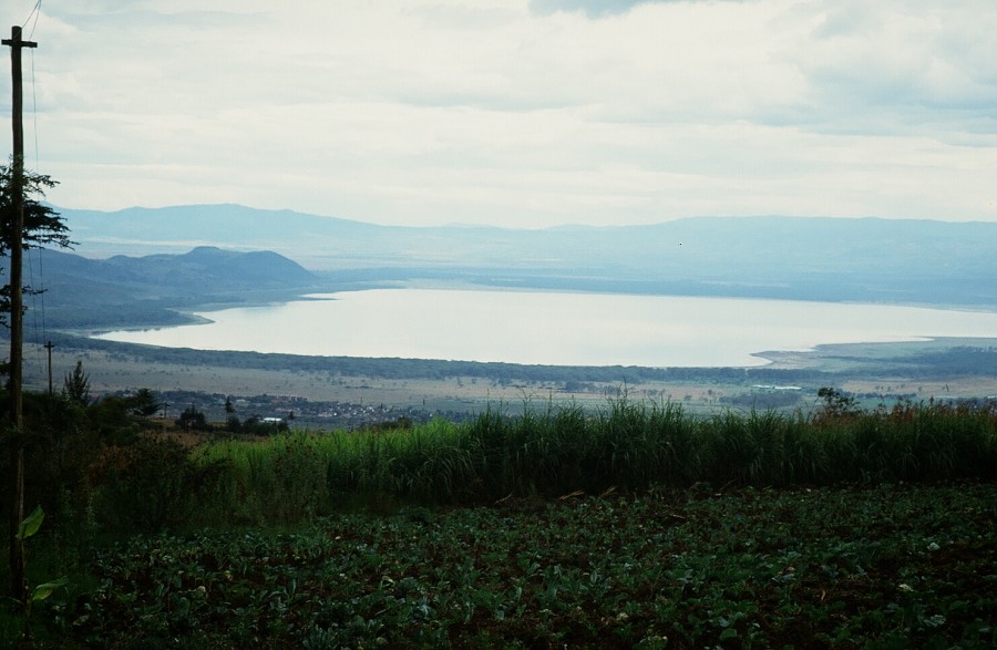 Cabinda(Angola)-Congo-Kenya_168