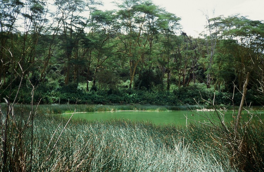 Cabinda(Angola)-Congo-Kenya_175