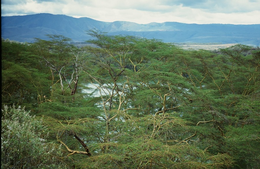 Cabinda(Angola)-Congo-Kenya_180