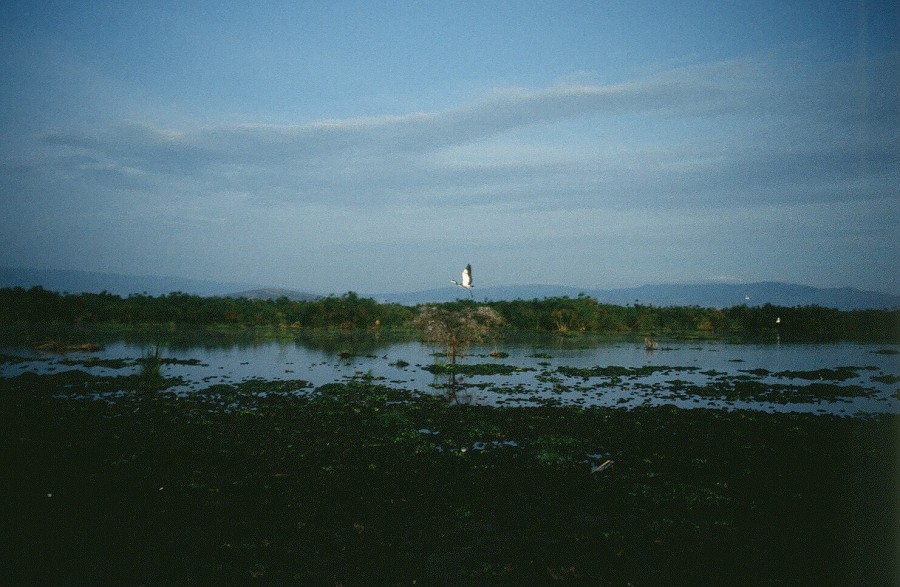 Cabinda(Angola)-Congo-Kenya_184