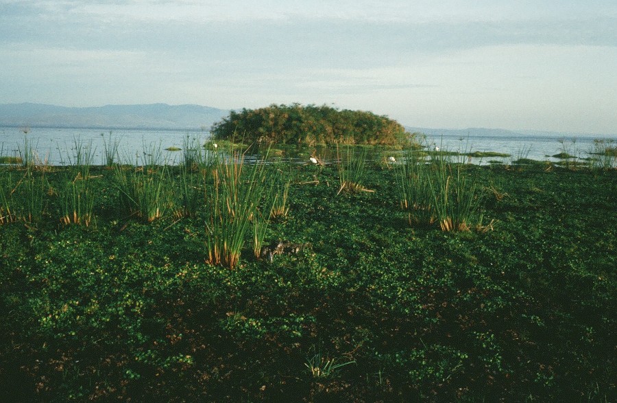 Kenya-Zanzibar-Tanzania-Burundi_002