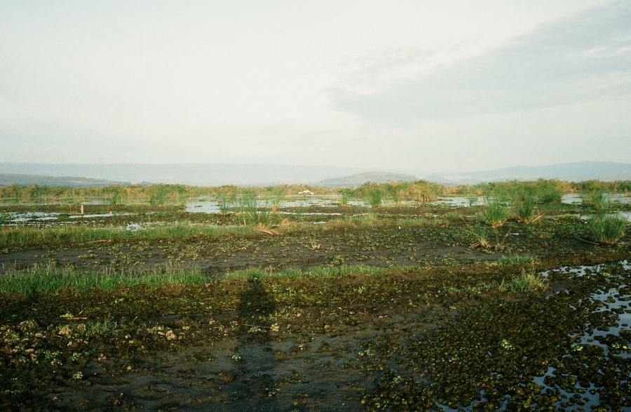 Kenya-Zanzibar-Tanzania-Burundi_004